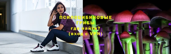 мяу мяу мука Аркадак