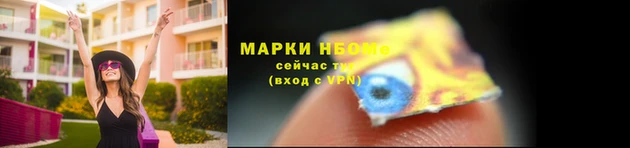 мяу мяу мука Аркадак