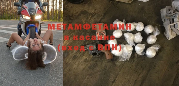мяу мяу мука Аркадак