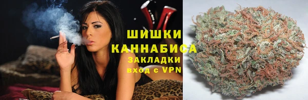 ПСИЛОЦИБИНОВЫЕ ГРИБЫ Навашино